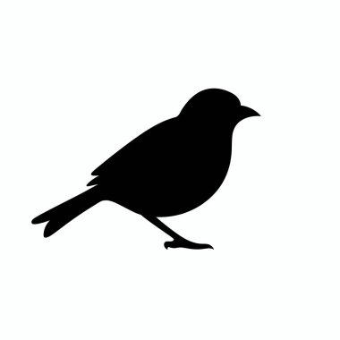 Hafif bir arka planda yürüyen küçük bir kuş silueti tasvir edilir. Kuş, eşsiz biçimini ve duruşunu sergileyen narin bir vücut yapısı ve ince bir profil sergiliyor..
