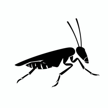 Bir çekirgenin ayrıntılı bir silueti hafif bir arka planda sergilenir. Yaratık, uzun bacakları ve antenleriyle hareket halindeyken yakalanır ve benzersiz özelliklerini vurgular..