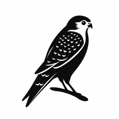 Bir şahinin siyah silueti bir dalın üzerinde duruyor, belirgin işaretlerini ve duruşunu gösteriyor. Bu tasarım kuşun keskin özelliklerini ve zarafetini vurgular..