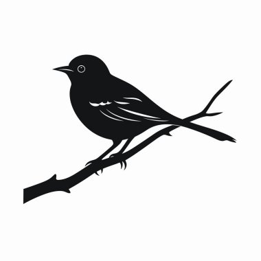 Küçük siyah bir kuş ince bir dala tünemiş. Yuvarlak gövdesi, sivri gagası ve parlak gözleri doğal bir ortamda sakin bir varlığı işaret ediyor..