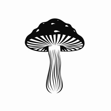 Çarpıcı siyah beyaz bir resimde ayrıntılı solungaçları ve desenli şapkası olan bir mantar sergileniyor. Görüntü, mantarların doğal güzelliğini ve karmaşıklığını sanatsal çizgilerle yakalıyor..