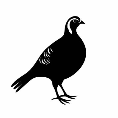 Siyah bir kuş silueti belirgin bir şekilde düz bir arkaplanda duruyor. Kuş, yuvarlak bir vücut ve ayrıntılı tüyler de dahil olmak üzere benzersiz özellikler sergiliyor..