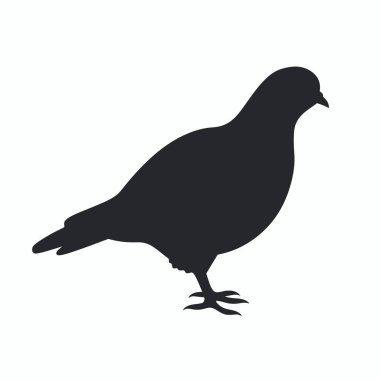 Koyu renkli bir güvercin silueti tasvir edilir, kendine özgü şeklini ve özelliklerini gösterir. Kuş hareketsiz duruyor, karakteristik duruşunu kanatları arasına sıkıştırılmış olarak gösteriyor..