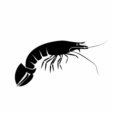 Anten ve segmentli gövde de dahil olmak üzere eşsiz özelliklerini vurgulayan siyah bir karidesin ayrıntılı bir çizimi. Bu tasarım karidesin zarif şeklini ve dokusunu vurgular..