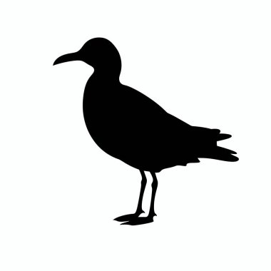 Bir martının silueti bir bacağının üzerinde duruyor ve vücudu öne bakıyor. Kuşun ayırt edici özellikleri, nötr bir arkaplan üzerine kuruludur..