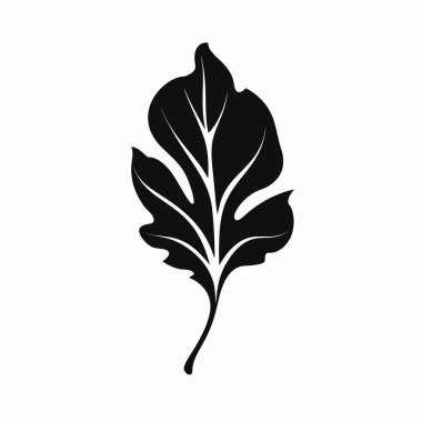 Bir yaprağın silueti zarif kıvrımlar ve karmaşık damar şekilleri gösterir. Koyu siyah rengi, doğal güzelliğini ve tasarımını vurgulayarak düz bir arkaplan üzerinde keskin bir tezat oluşturur..