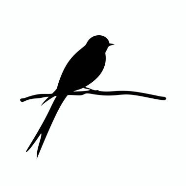 İnce bir dalda oturan bir kuş silueti gösterilir. Kuş, karşı kontrastı vurmak için hafif bir arkaplan karşısında uzun bir kuyruğa ve basit bir profile sahiptir..