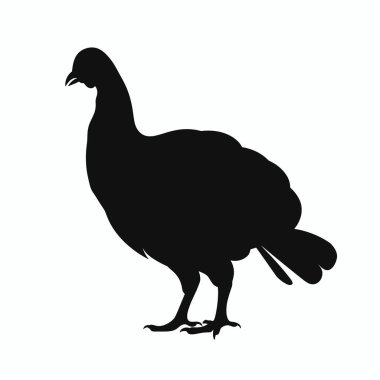 Bu siluet, belirgin şeklini ve karakteristik özelliklerini sergileyen dik duran bir hindiyi gösteriyor. Tasarım, hindinin şeklini sanatsal kullanım için uygun basit bir şekilde vurgular..