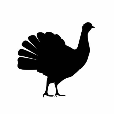 Bir hindinin silueti, canlı tüyleri tamamen yayılmış olarak dimdik ayakta gösterilir. Görüntü, bu görkemli kuşun özünü basit ama çarpıcı bir şekilde yakalıyor..