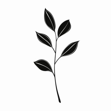 İnce bir bitki dalına ait siyah bir siluet beyaz bir arka plana karşı duruyor, minimalist tasarımını ve doğal güzelliğini vurguluyor..