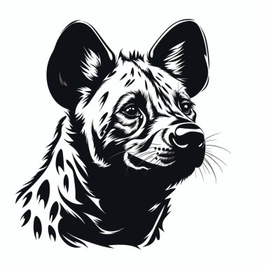 Eserde bir sırtlanın yüzünün detaylı siyah-beyaz çizimi gösteriliyor, ayırt edici özelliklerini ve anlamlı gözlerini yakalıyor..