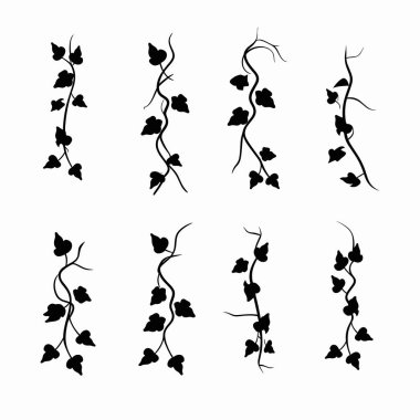 Sarmaşık sarmaşıklarının çeşitli siyah siluetleri sanatsal olarak düzenlenir. Her tasarım, el sanatları veya dijital tasarımlarda kullanıma uygun eşsiz şekiller ve yaprak desenleri sergiler.