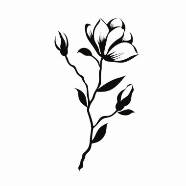 Siyah ve beyaz bir illüstrasyonda, kapalı tomurcukların yanında çiçek açan narin bir çiçek sergilenir. Tasarım, yaprakların ve yaprakların zarif çizgilerini ve şekillerini vurguluyor..