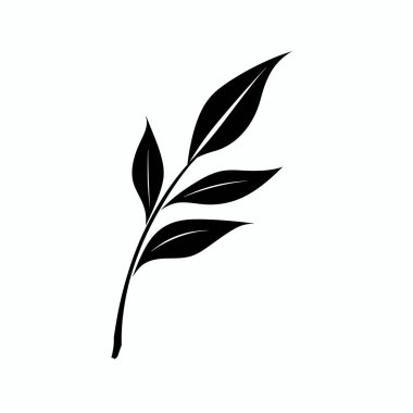 Bir yaprak dalının siyah silueti. İçinde birkaç uzun broşür var. Tasarım, çeşitli sanatsal ve dekoratif amaçlar için uygun doğal güzelliği ve minimalizmi vurguluyor..