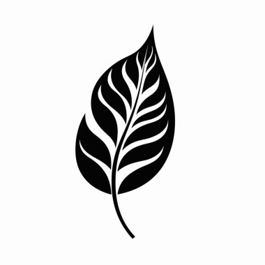 Zarif desenli bir yaprağın ayrıntılı silueti düz bir arkaplanda sergilenir. Doğal şekil, bitki yaşamında bulunan güzelliği ve karmaşıklığı vurgular..