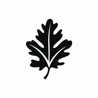 Tasvirde karmaşık ayrıntılar ve belirgin şekiller içeren bir meşe yaprağının siyah silueti yer alıyor. Bu tasarım yaprağın doğal güzelliğini ve simetrisini vurgular..