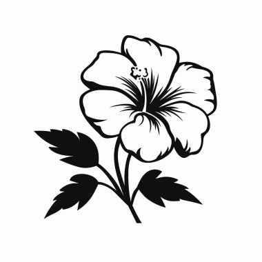 Bu illüstrasyonda, karmaşık tasarımı ve doğal güzelliğini vurgulayan açık yapraklı bir amber çiçeği yer almaktadır. Biçim net çizgiler ve şekillere odaklanarak çarpıcı bir görsel etki yaratır.