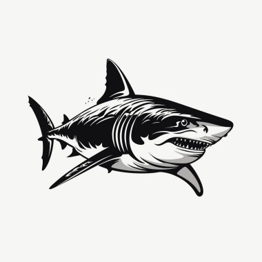 Ayrıntılı bir siyah beyaz resimde okyanusta yüzen vahşi bir köpekbalığı görülüyor..