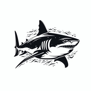 Ayrıntılı bir siyah beyaz resimde okyanus suyunda zarifçe yüzen bir köpekbalığı görülüyor..