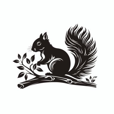 Siyah bir siluet yapraklarla çevrili bir dalın üzerine tünemiş bir sincabı tasvir eder, canlı bir duruş içinde hayvanı yakalar. Tasarım sincabın tüylü kuyruğunu ve keskin özelliklerini gözler önüne seriyor..