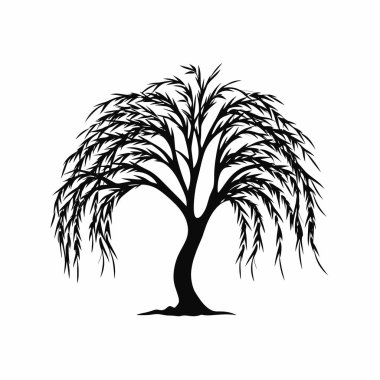 Zarif bir söğüt ağacı uzun, sarkık dallarıyla sade bir zemin üzerinde zarif bir siluet oluşturur. Bu huzurlu görüntü sükuneti ve doğanın güzelliğini yansıtıyor..