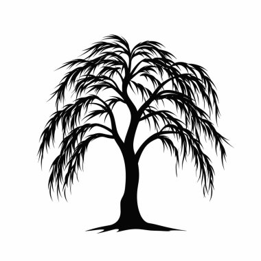 Zarif bir söğüt ağacı dimdik duruyor, dalları zarif bir şekilde çağlayarak aşağı iniyor. Ayrıntılı siluet, ağacın eşsiz şeklini vurgulayan saf beyaz arka plana şiddetle zıt düşüyor..