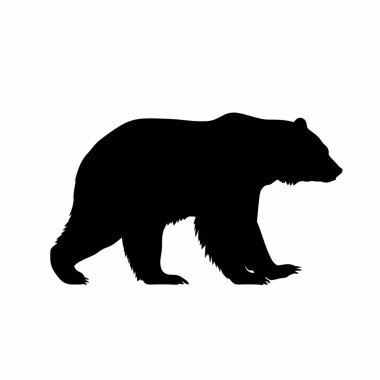 Bir ayının siyah silueti düz bir arka planda, orta basamaktaki bir ayı vahşi yaşamın güzelliğini temsil ediyor. Ayı, kendi çevresinde hareket ederken güç ve zarafeti yansıtır..