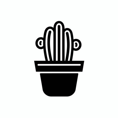 Küçük siyah beyaz bir kaktüs minimalist bir tencerede dimdik duruyor ve eşsiz şeklini sergiliyor. Bu kapalı alan bitkisi dekorasyonu geliştirir ve iç tasarıma doğal bir unsur getirir..