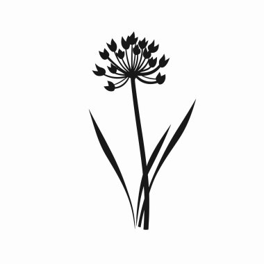 Çarpıcı bir siyah siluet, sayısız küçük çiçekli ve uzun, dar yapraklı, temiz beyaz bir arkaplan üzerinde çiçek açan bir bitki tasvir eder. Bu tasarım bitkinin yapısının zarafetini vurgular..