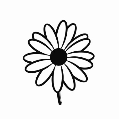 Bir papatya çiçeğinin siyah ve beyaz çizgisi, merkezi bir çemberin etrafında simetrik olarak sıralanmış uzun yapraklı eşsiz yapısını sergiler..