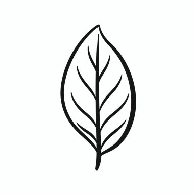 Bir yaprağın ayrıntılı siyah çizgisi, karmaşık damar yapısına odaklanarak düz bir arkaplana karşıdır..