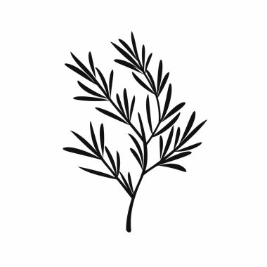 Çarpıcı bir siyah siluet narin yapraklarla süslenmiş ince bir dalı sergiliyor..