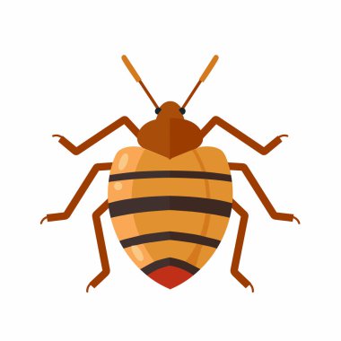 Sıradan bir tahtakurusunun belirgin şeklini ve rengini gösteren detaylı bir çizimi. Böcek düz bir konumda koyu çizgili ve uzun bacaklı kahverengi bir gövdeye sahiptir..