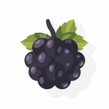 Olgun siyah üzümler, zengin bir renk ve taze olduklarını gösteren yeşil yapraklar. Beyaz bir arkaplanla yan yana gelmeleri doğal güzelliklerini ve çekiciliklerini vurguluyor..