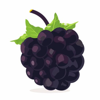 Dolgun siyah üzüm kümesi, temiz beyaz bir arkaplana dayanır. Üzümler parlak bir dokuya sahiptir ve parlak yeşil yapraklarla süslenerek tazelik ve renk katar..