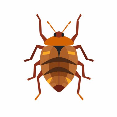 Kahverengi bir vücudu ve belirgin işaretleri olan bir tahtakurusu. Böcek düz, stilize bir şekilde tasvir edilir, şeklini ve bacaklarını açıkça vurgular..