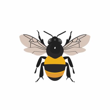 Canlı bir illüstrasyonda siyah ve sarı çizgili bir arı görülüyor. Arı yukarıdan tasvir edilir, kanatlarını ve özelliklerini ön plana çıkarır. Bu tasarım polen taşıyıcıların özünü yakalar..