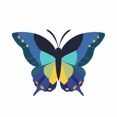 Mavi, yeşil ve sarı renklerin karışımından oluşan canlı bir kelebek çizimi. Kanatları ayrıntılı desenler ve turuncu parlak noktalarla süslenmiş, doğal güzellikleri sergiliyor..