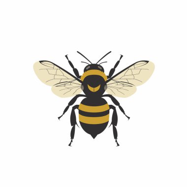 Bu resimde yukarıdan aşağıya doğru gösterilen, karmaşık kanatları, vücut yapısı ve belirgin renk modelini vurgulayan bir bal arısı resmedilmektedir. Eğitimsel amaçlar için mükemmel.