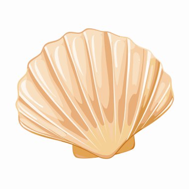 Güzel bir kabuk düz bir yüzey üzerinde belirgin bir şekilde sergilenir, pürüzsüz kıvrımlarını ve hassas çıkıntılarını vurgular. Yumuşak renk paleti, kıyı hazinelerini hatırlatan bir sakinlik hissi uyandırıyor..