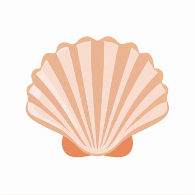 Zarif kıvrımlarını ve doğal renklerini gösteren bir deniz tarağı kabuğunun basit bir çizimi. Bu tasarım, kıyı dekoru veya eğitim materyali için uygun temiz bir deniz estetiğini somutlaştırır..