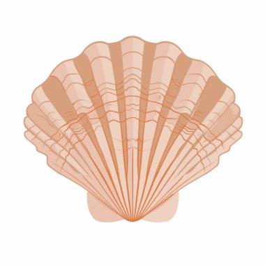 Görüntü, bir deniz tarağı kabuğunun stilize edilmiş bir tasvirini, karmaşık çizgileri ve pürüzsüz, sıcak bir renk paletini gösteriyor. Kabuğun kıvrımları ve desenleri doğal güzelliğini ve basitliğini vurgular..