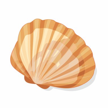 Turuncu ve bronz çizgili güzel detaylı bir deniz kabuğu yumuşak bir kumlu yüzey üzerinde uzanıyor. Güneş parlıyor, kabuğun kıvrımlarını ve dokusunu vurguluyor, barışçıl bir sahil atmosferini çağrıştırıyor..