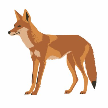 Bir tilki hazır ve tetikte duruyor, belirgin kırmızımsı kahverengi kürkü ve tüylü kuyruğunu gösteriyor. Yaratık sakin görünüyor, minimalist bir ortamda keskin farkındalık duygusu sergiliyor..