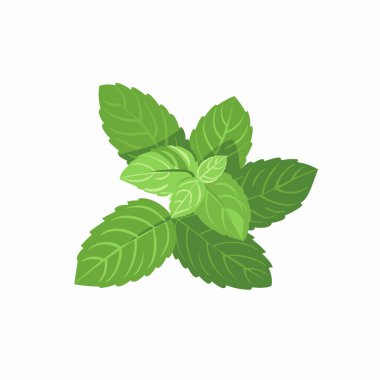 Parlak yeşil nane yaprakları düzenli bir kümede sergilenir, ayrıntılı şekilleri ve dokuları sergilenir. Canlı renk ve düzenleme tazeliklerini ve çekiciliklerini vurguluyor..