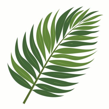 Bu tropikal palmiye yaprağı ayrıntılı ve katmanlı broşürlerle zengin yeşil bir renge sahiptir. Doğal tasarımı bitki yaşamının güzelliğini vurguluyor, dekoratif ya da sanatsal amaçlar için mükemmel..