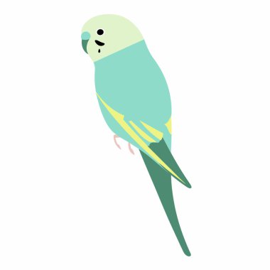 Açık yeşil ve sarı tüylü canlı bir muhabbet kuşu zarif bir şekilde duruyor. Benzersiz rengi ve duruşu gün ışığında doğal ortamda canlı ama sakin bir varlık olduğunu gösteriyor..