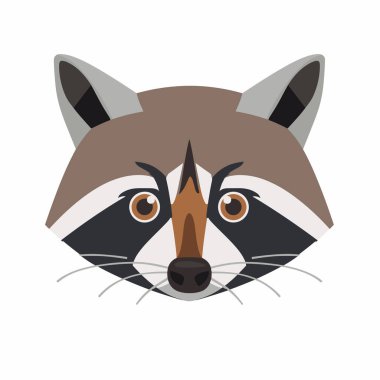 Rakun kafasının detaylı bir çizimi belirgin yüz işaretleri, parlak gözler ve eşsiz kulaklar sergiliyor. Sanat eserleri hayvanın büyüleyici ve haylaz ifadesini vurguluyor..