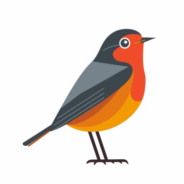 Küçük bir kuş, gri, turuncu ve kırmızı tüylerin çarpıcı renk kombinasyonuyla bacaklarının üzerinde durur. Bu dijital illüstrasyon kuşun çekici özelliklerini ve tasarım basitliğini yakalar..