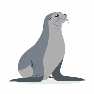 Bir fok kuma oturur, merakla bakar. Pürüzsüz gri kürkü güneş ışığı altında parıldıyor ve sakin dalgalar sahilde yavaşça süzülerek sakin bir sahil atmosferi yaratıyor..